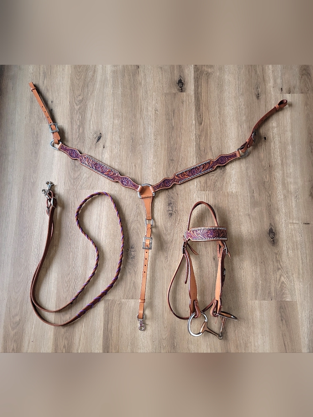 Headstall, Breast Collar, & Reins